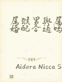 属猴男与属狗女婚配合适吗