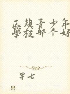 正规青少年叛逆学校哪个好封面