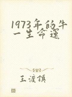 1973年的牛一生命运