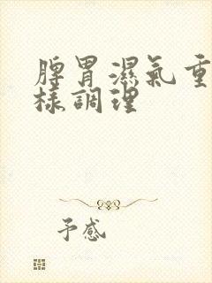 脾胃湿气重怎么样调理