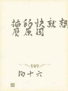 插的快就想射什么原因