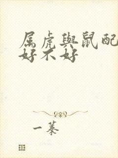 属虎与鼠配婚姻好不好封面