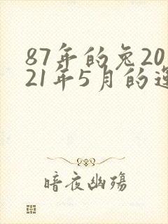 87年的兔2021年5月的运程