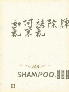 如何祛除脾胃湿气寒气