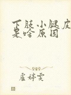 下肢小腿皮肤痒是啥原因