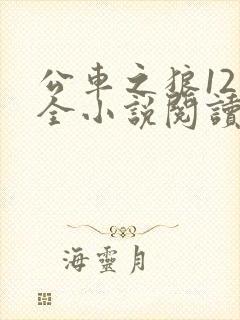 公车之狼12集全小说阅读
