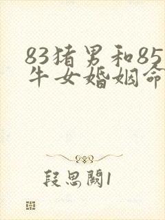 83猪男和85牛女婚姻命运