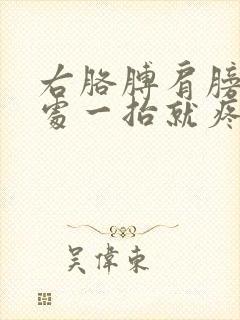 右胳膊肩膀关节处一抬就疼