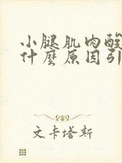 小腿肌肉酸痛是什么原因引起的封面