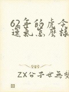 62年的虎今年运气怎么样