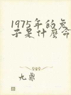 1975年的兔子是什么命