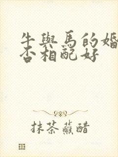 牛与马的婚姻是否相配好