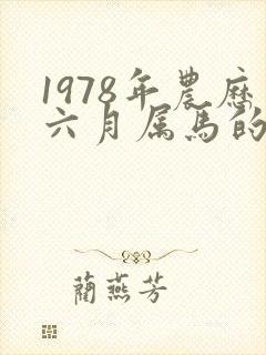 1978年农历六月属马的命运