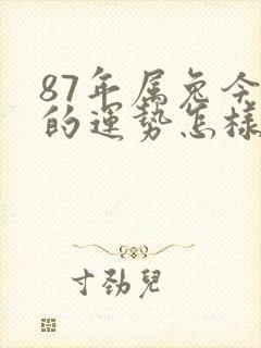 87年属兔今年的运势怎样