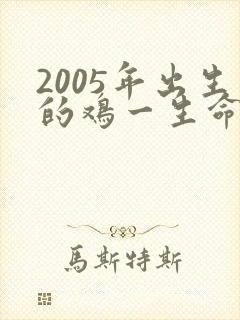 2005年出生的鸡一生命运封面