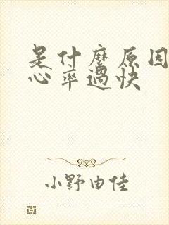 是什么原因引起心率过快封面