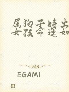 属狗子时出生的女孩命运如何封面