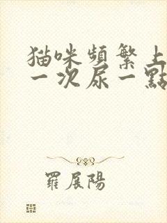 猫咪频繁上厕所一次尿一点封面