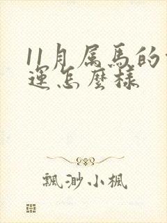 11月属马的命运怎么样