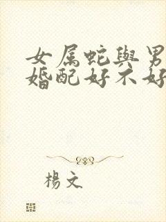 女属蛇与男属兔婚配好不好封面