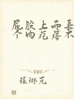 屁股上面长了一个肉疙瘩不痛不痒封面