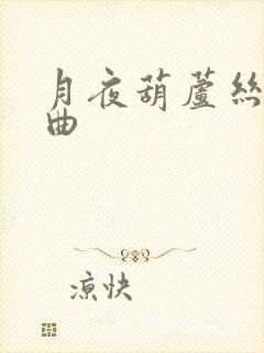 月夜葫芦丝独奏曲