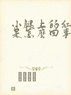 小腿上的红点点是怎么回事