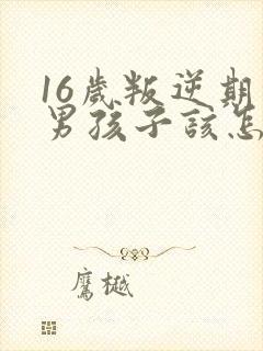 16岁叛逆期的男孩子该怎样去沟通教育