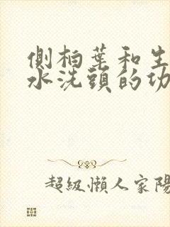 侧柏叶和生姜煮水洗头的功效