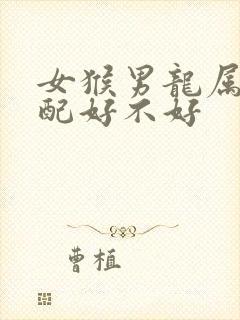 女猴男龙属相婚配好不好