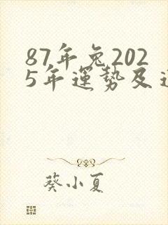 87年兔2025年运势及运程封面