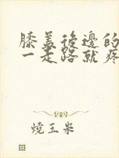 膝盖后边的腿窝一走路就疼