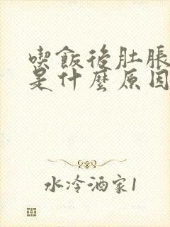 吃饭后肚胀放屁是什么原因