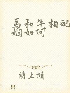 马和牛相配吗婚姻如何