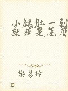 小腿肚一到夏天就痒是怎么回事