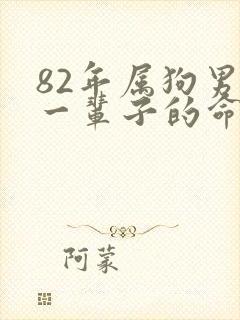 82年属狗男人一辈子的命运