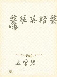 系统集精系统高嗨