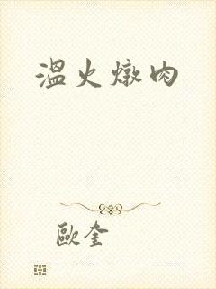 温火炖肉