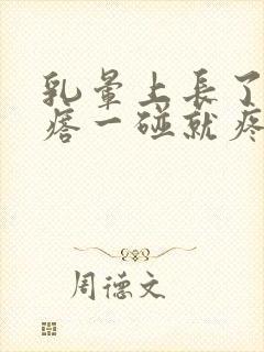 乳晕上长了个疙瘩一碰就疼怎么回事