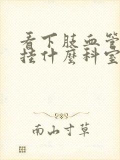 看下肢血管堵塞挂什么科室