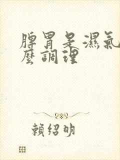 脾胃是湿气重怎么调理