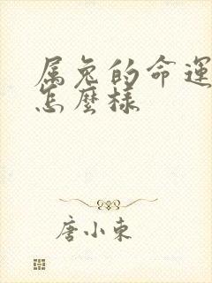 属兔的命运一生怎么样封面