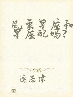 风象星座和风象星座配吗?