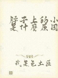 脖子上的小肉揪是什么原因引起的