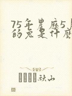 75年农历5月的兔是什么命