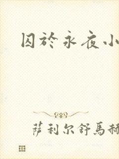 囚于永夜小说