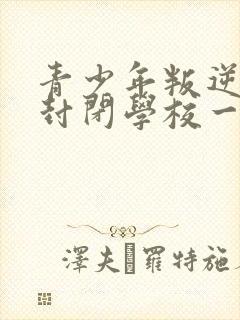 青少年叛逆正规封闭学校一年多少学费封面