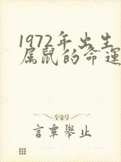 1972年出生属鼠的命运怎样