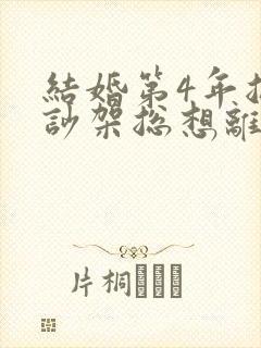 结婚第4年总是吵架总想离婚封面