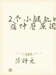 2个小腿肌肉酸痛什么原因